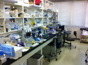 分子生物学実験室